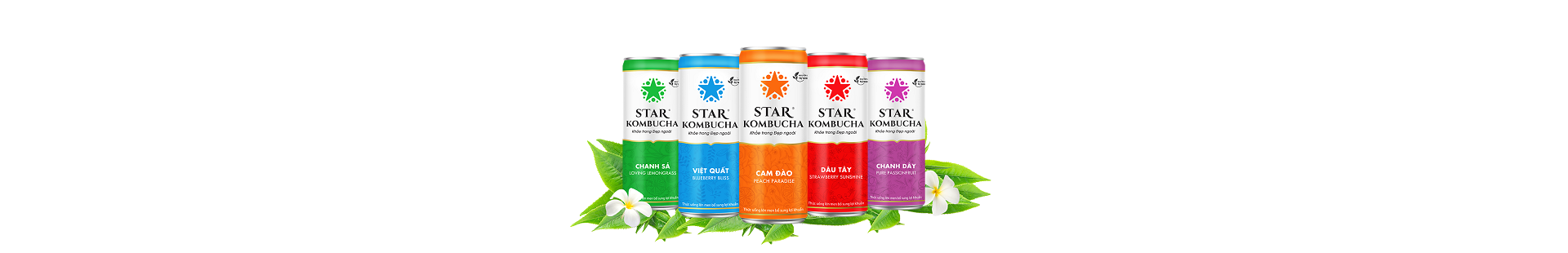 Star Kombucha